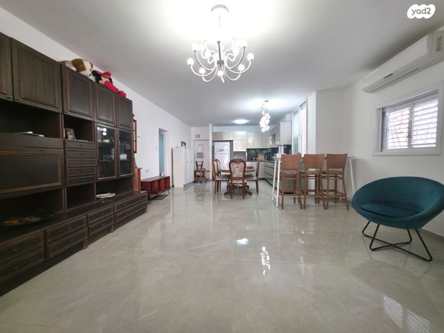 דוד וולפסון 