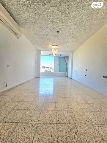 אריה שנקר 23