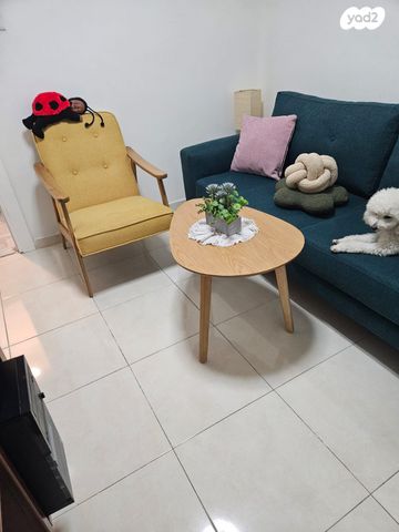 דירה, דרך בן גוריון, אזור