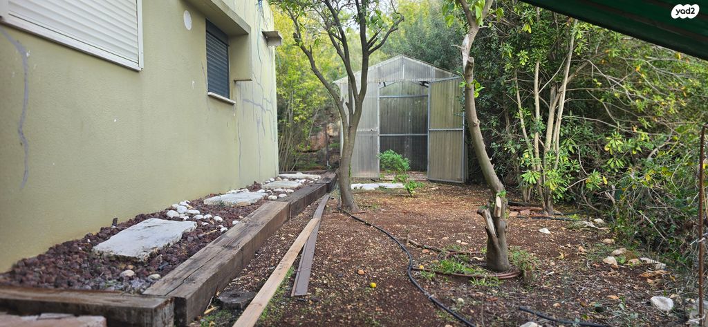 דירה, גבעת אלה