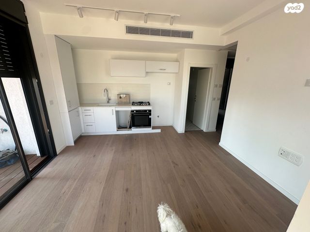 דירה, ויצמן, הצפון החדש - צפון, תל אביב יפו