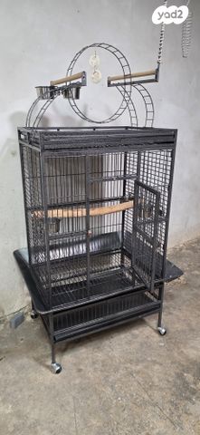 תמונת מודעה - חיות מחמד