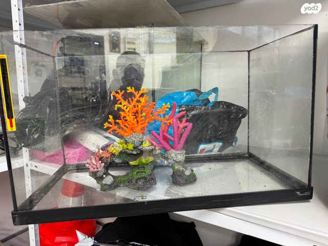 תמונת מודעה - חיות מחמד