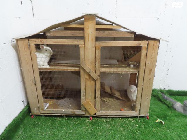 תמונת מודעה - חיות מחמד