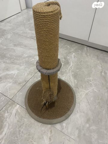 תמונת מודעה - חיות מחמד