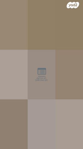 מכרסם ארנב שמוט אוזניים