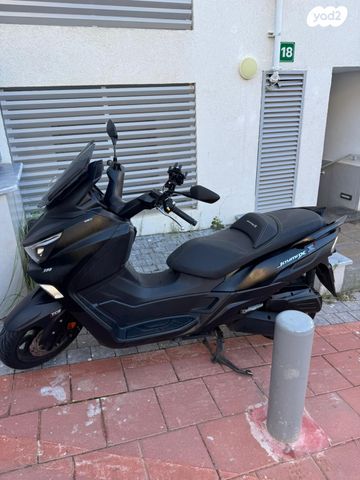 סאן יאנג ג'וי-מקס Z-300