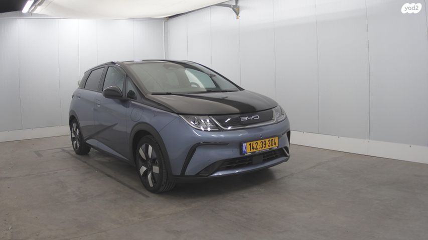 בי.ווי.די דולפין