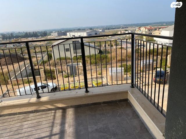 עץ המשאלות 5