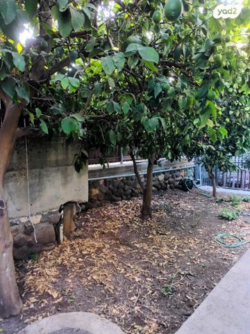 בית פרטי/ קוטג', שיזף 9, מורדות טבריה, טבריה