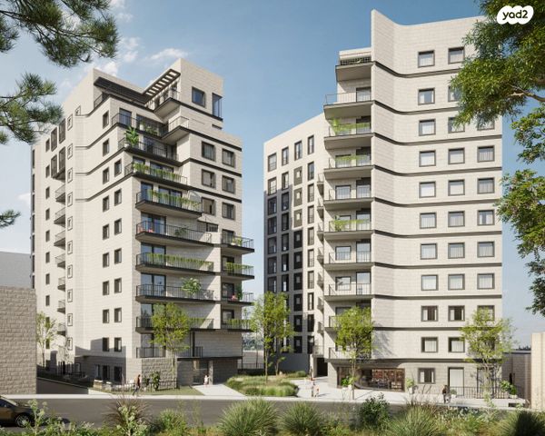 ישראל זנגוויל 8