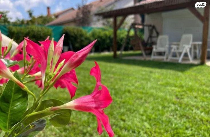 חולות גאולים 15