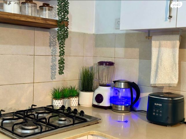 עין הקורא 17