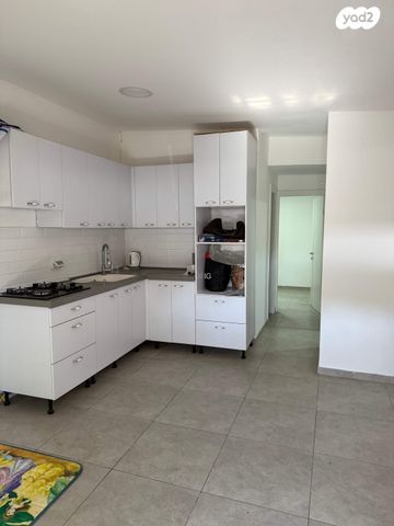 שלום פינקלשטיין 3