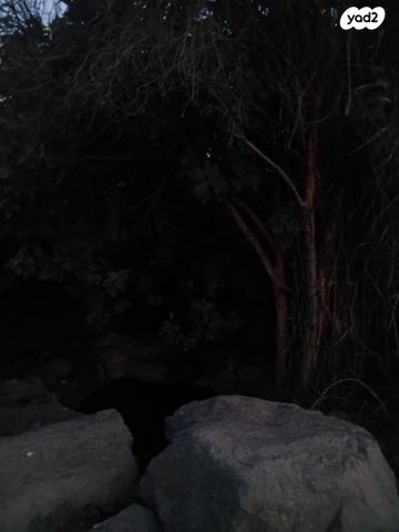 מעלה חוני המעגל 23