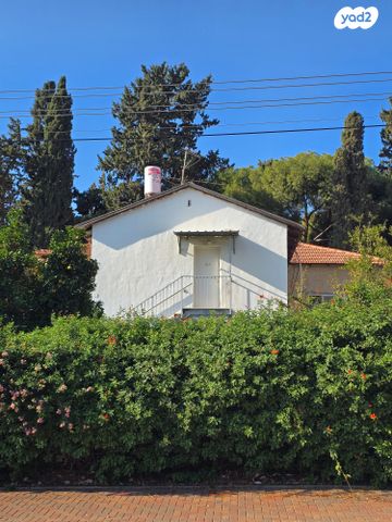 קיבוץ גלויות 13