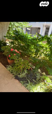 דירה, משמר הירדן 1, קדמת ראשון, ראשון לציון