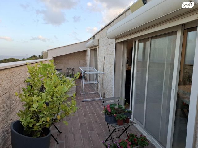 דירה, מצפה 11, נווה שאנן, חיפה