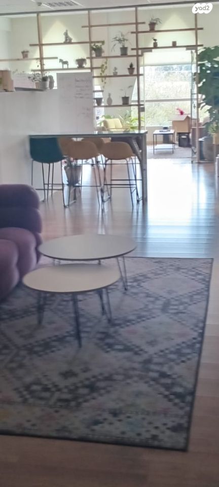 משרדים, הטחנה 48, שאר העיר, בנימינה גבעת עדה