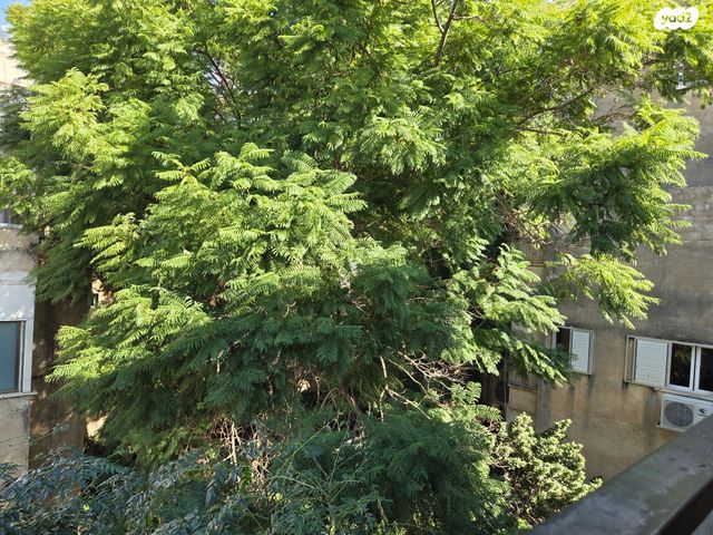 דירה, אלחריזי, הצפון הישן - צפון, תל אביב יפו