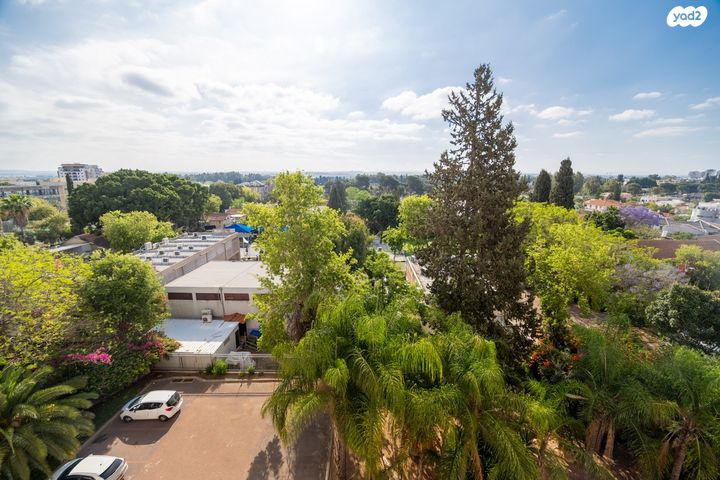 הרב עוזיאל 6