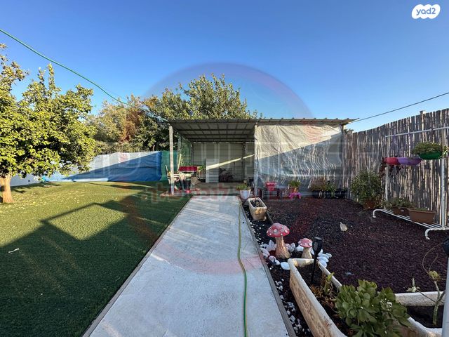 דו משפחתי, נורית, אומן, אומן