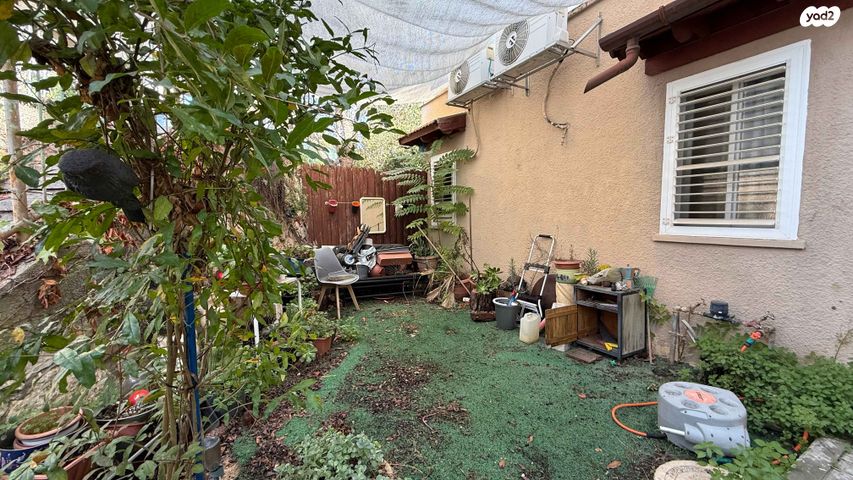 מעלה הנרקיסים 