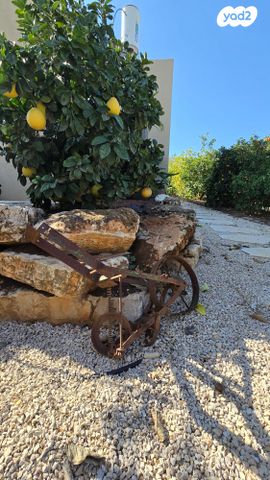 בית פרטי/ קוטג', יבנאל