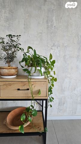 גג/ פנטהאוז, דרך בית לחם, בקעה, ירושלים