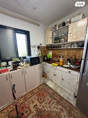 דירה, וייצמן, כהן, טירת כרמל