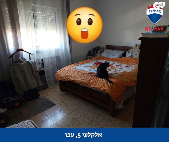 דירה, יהודה אלקלעי, עכו