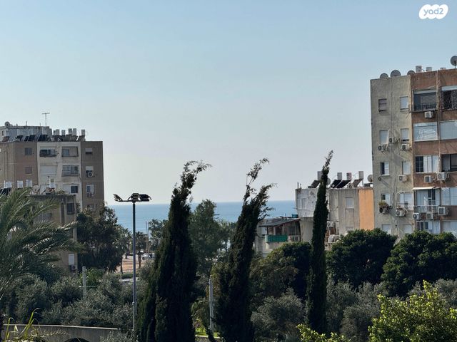 דירה, האילן, מנחם בגין, עכו