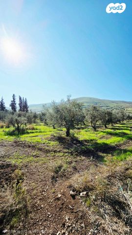 בית פרטי/ קוטג', יבנאל