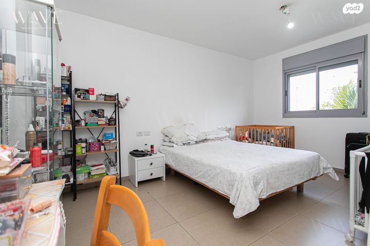 דירה, האנפה, החותרים, טירת כרמל