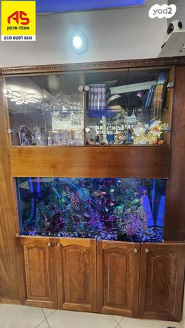 דופלקס, העצמאות, ההסתדרות, אור יהודה