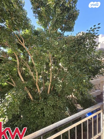 דירה, בורוכוב, נווה דוד רמז, רעננה