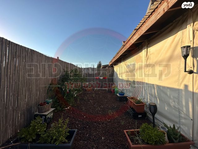 דו משפחתי, נורית, אומן, אומן