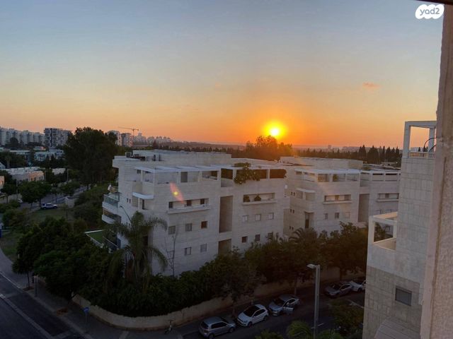 אלכסנדר סשה ארגוב 13