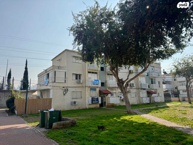 דירה, קיבוץ גלויות, ניצנה, בת ים