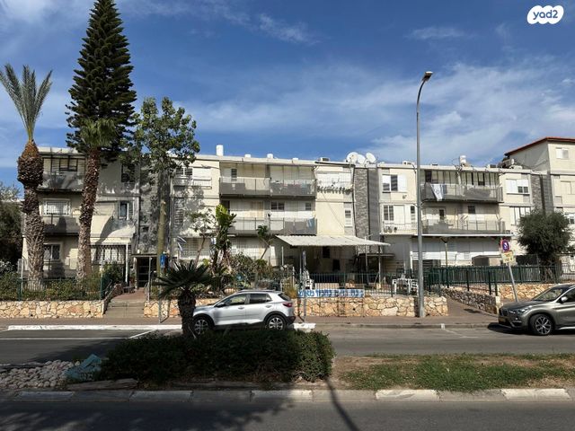 דירה, וייצמן, כהן, טירת כרמל