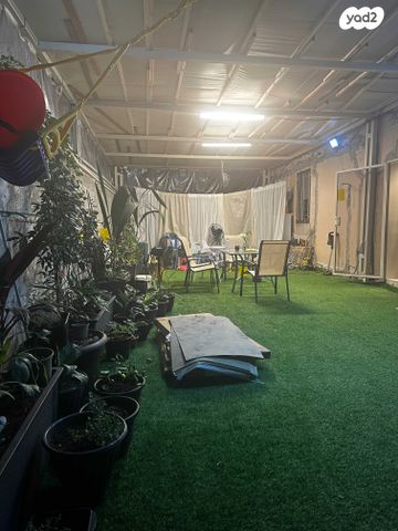 דירת גן, חיפה