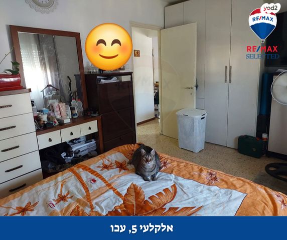 דירה, יהודה אלקלעי, עכו