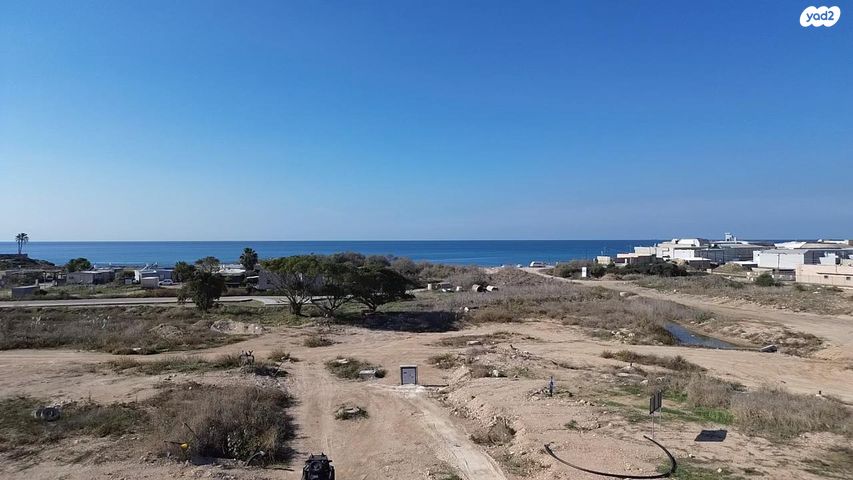 מגרשים, כרכום, עתלית