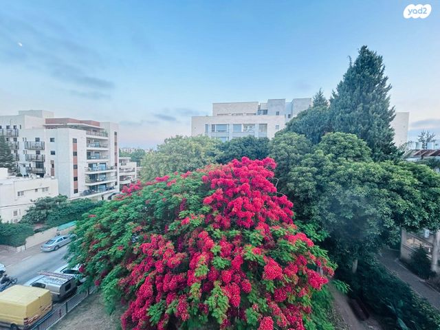 דירה, חפץ חיים, רעננה