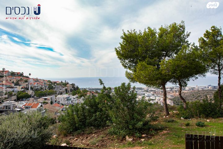 בית פרטי/ קוטג', הוד הכרמל, דניה, חיפה