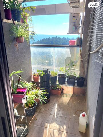 דירה, דהומיי, קרית מנחם, ירושלים