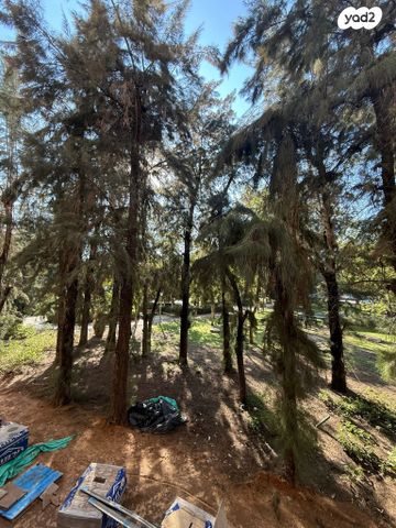 דירה, שכונת הותיקים, רמת גן