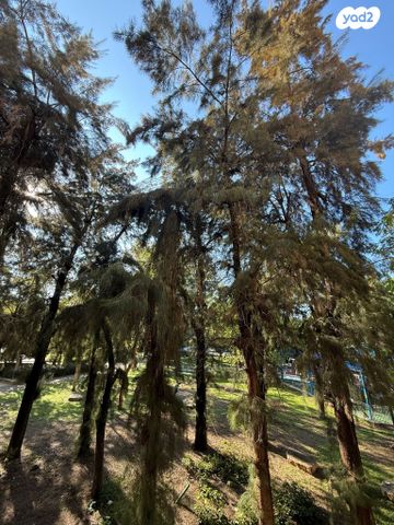 דירה, שכונת הותיקים, רמת גן