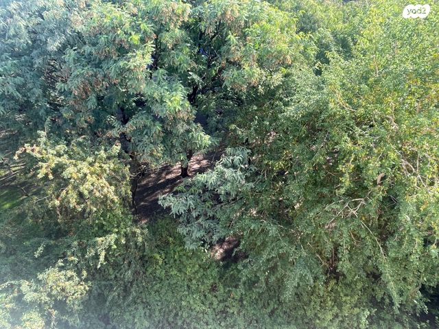 דירה, רמת אביב ג', תל אביב יפו