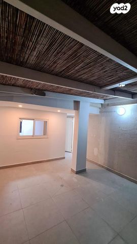 דופלקס, לוד